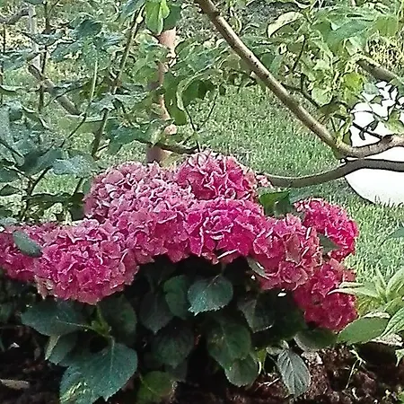 Daire Astonishing View