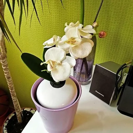 Daire Astonishing View Split